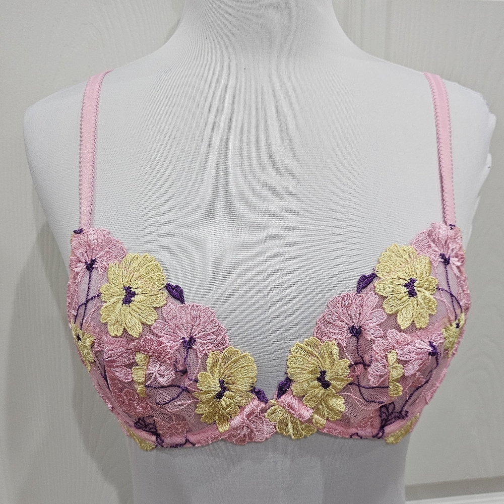 Dolls Kill Playful Promises Luna Pastel Pink Embroidery Picot Plunge Bra S 32B